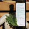 Huile d'Olive bio aromatisée au Romarin 25cl : Composition